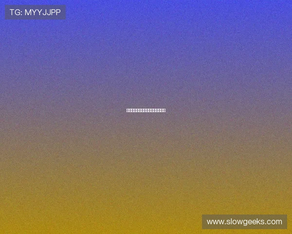 世界毽球锦标赛传统技艺的现代竞技